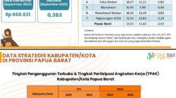 BPS Papua Barat Sebut Teluk Bintuni Berhasil Turunkan Kemiskinan Ekstrem, Kinerja Kepala Daerah Diapresiasi