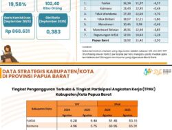BPS Papua Barat Sebut Teluk Bintuni Berhasil Turunkan Kemiskinan Ekstrem, Kinerja Kepala Daerah Diapresiasi