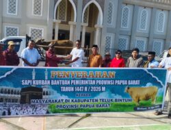Jelang Idul Adha, Pemprov Papua Barat Salurkan Hewan Kurban”Kabupaten Teluk Bintuni Dapatkan Sapi khusus Dari Presiden RI.