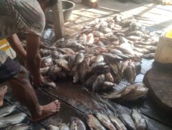 HIPMI Papua Barat dan Teluk Bintuni Komitmen Tingkatkan Kesejahteraan UMKM