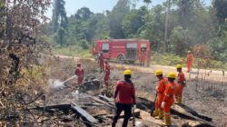 Polres Teluk Bintuni dan LNG Tangguh Kerahkan 75 Personel Padamkan Karhutla