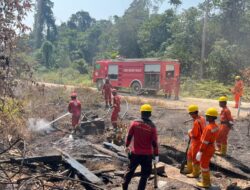 Polres Teluk Bintuni dan LNG Tangguh Kerahkan 75 Personel Padamkan Karhutla